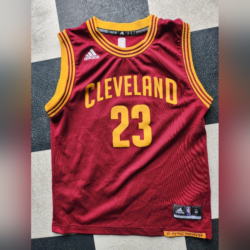 Youth M LeBron James Adidas Cleveland Cavaliers Maroon Swingman Jersey
